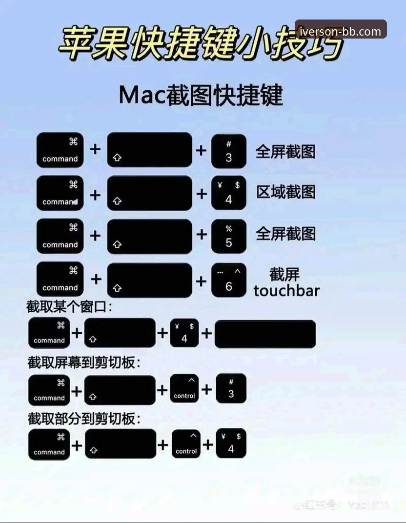 bb娱乐官网新手教程使用技巧 bb娱乐官网新手使用教程:从入门到精通的操作技巧与实战经验